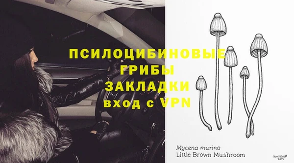 apvp Алексеевка