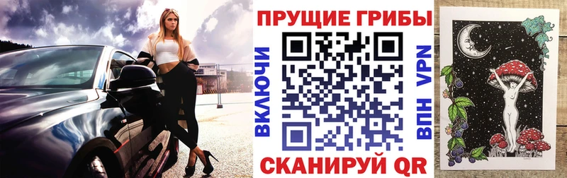 магазин  наркотиков  Хотьково  гидра сайт  Псилоцибиновые грибы Psilocybe 